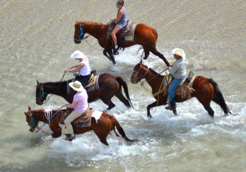 Experience the Thrill of Horseback Riding in Rocky Point and Puerto Penasco